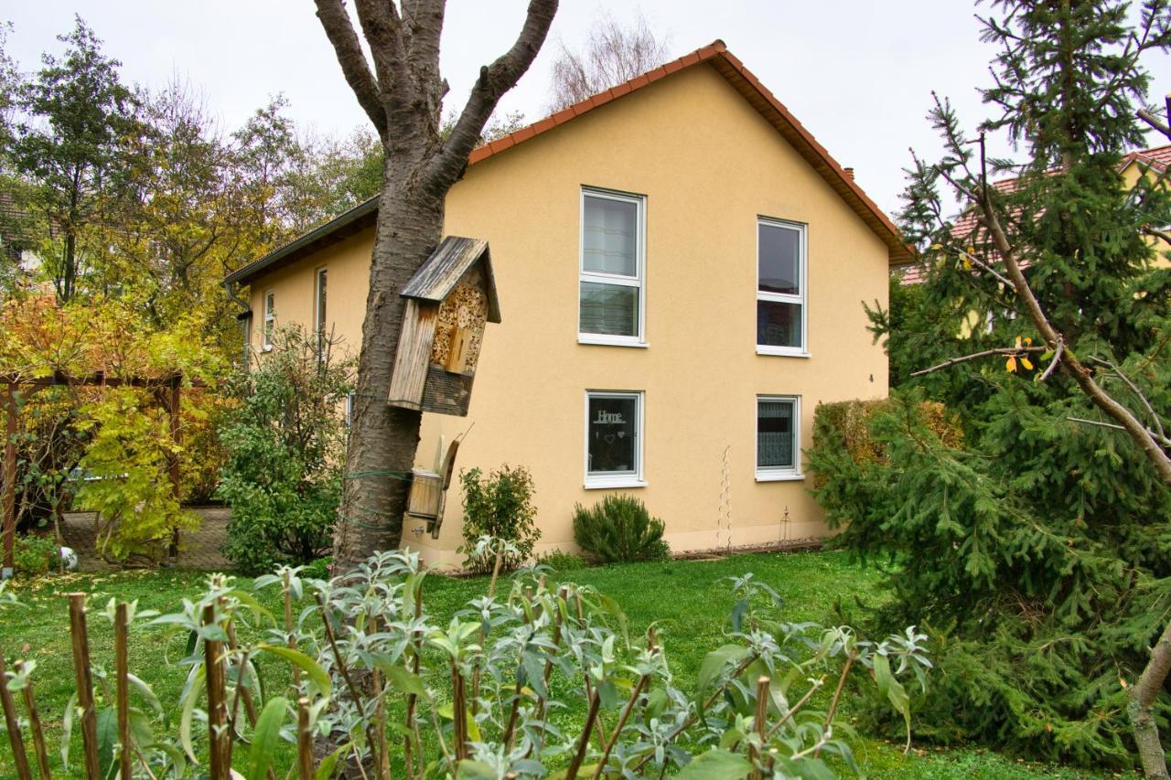 Mycozyplace - Gemuetliches Zimmer Fuer Zwei Drezno Zewnętrze zdjęcie